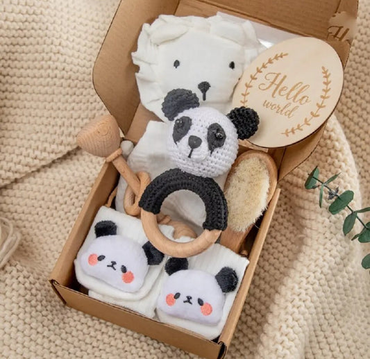 Baby's First Gift Set